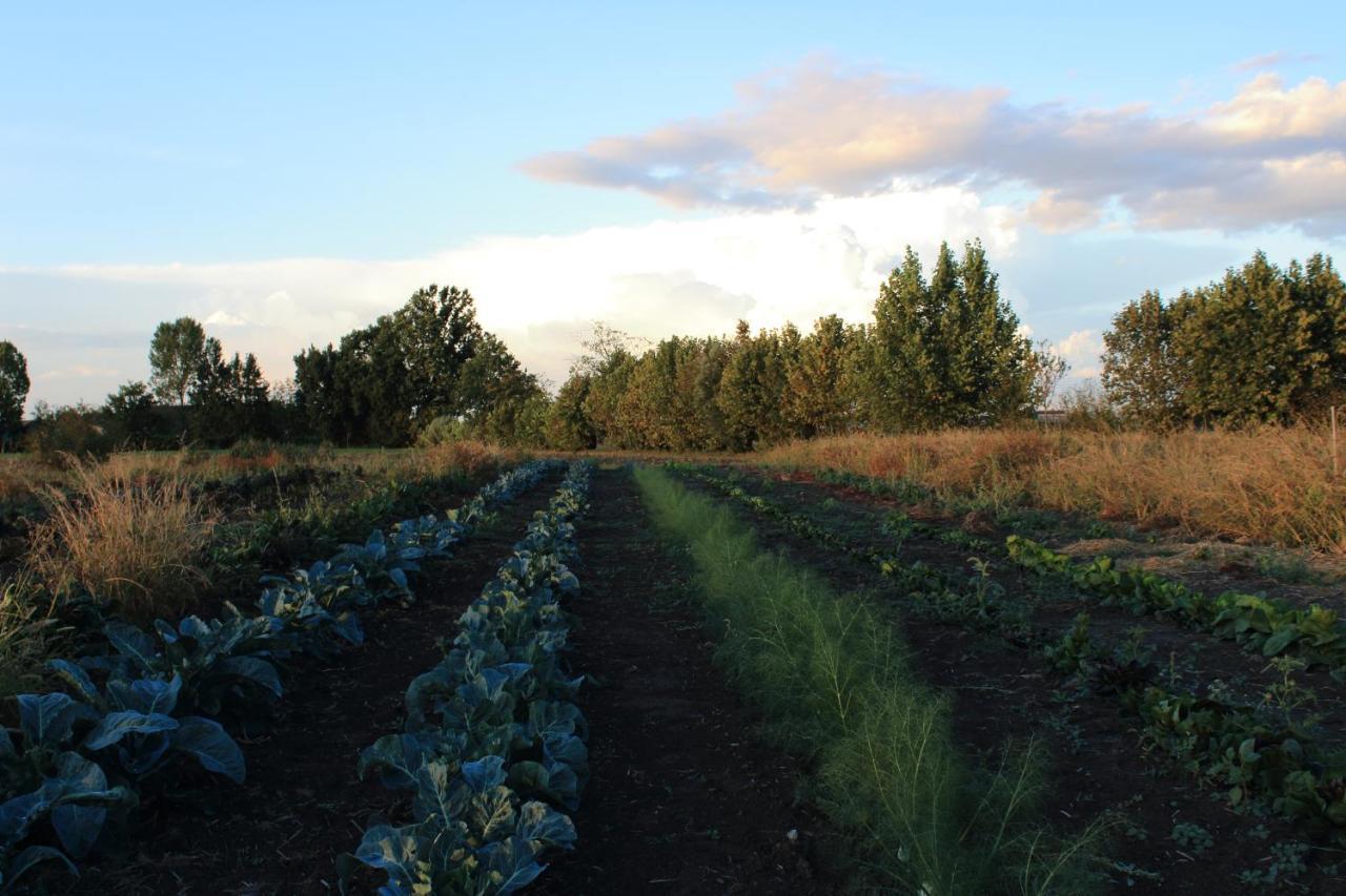 Agriturismo Corte Lidia Bellaguarda 外观 照片